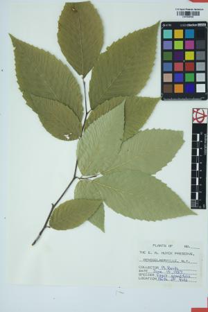97662-Service File.jpg