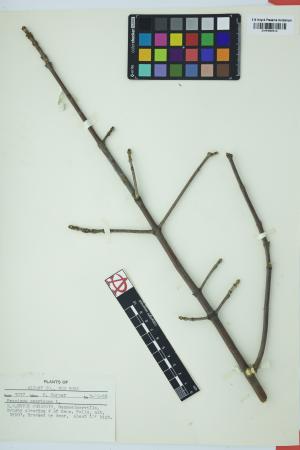 97680-Service File.jpg