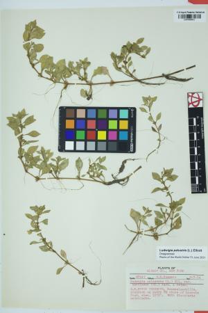 97685-Service File.jpg