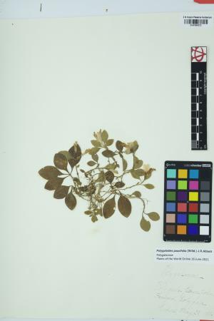 97697-Service File.jpg