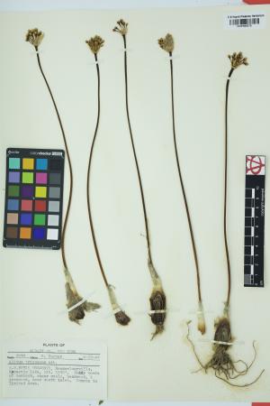 97732-Service File.jpg