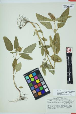 97733-Service File.jpg
