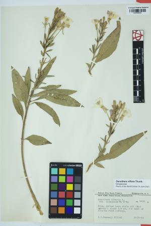 97738-Service File.jpg