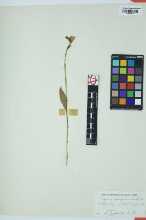 97755-Service File.jpg
