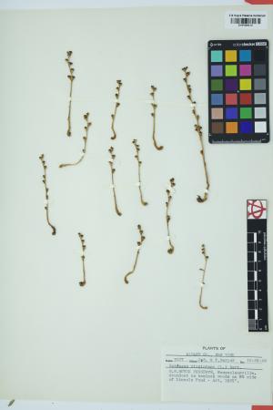 97756-Service File.jpg