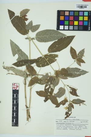 97834-Service File.jpg
