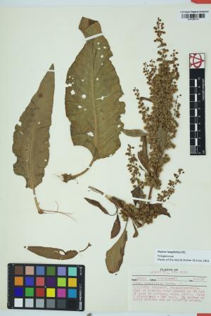 97847-Service File.jpg