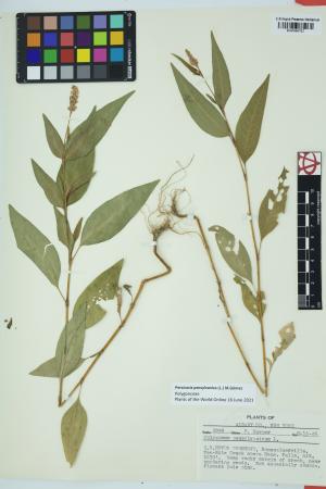 97856-Service File.jpg