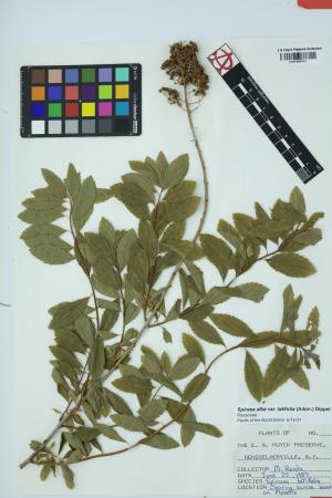 97864-Service File.jpg