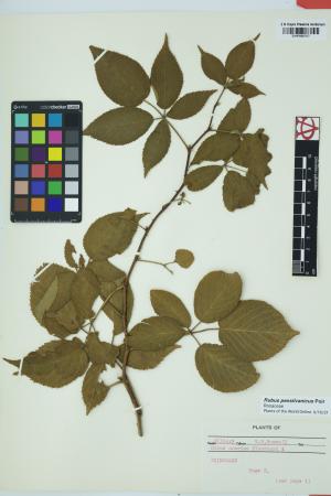 97870-Service File.jpg