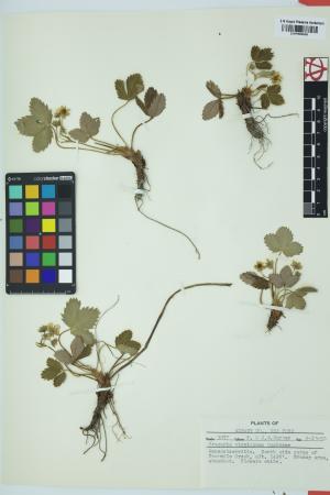97911-Service File.jpg