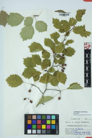 97916-Service File.jpg