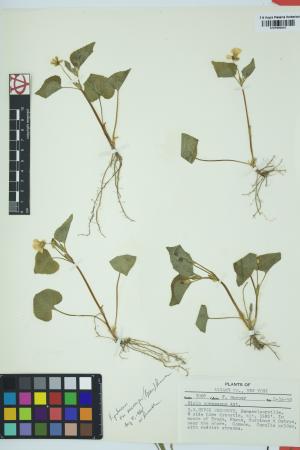 97948-Service File.jpg