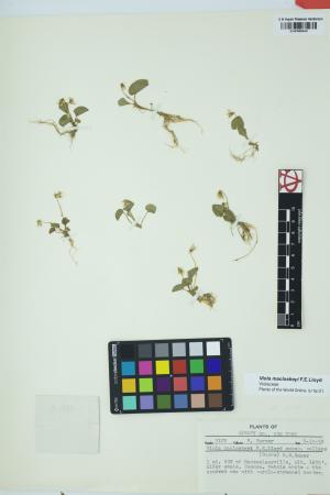 97951-Service File.jpg