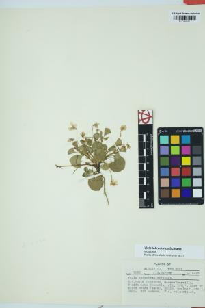 97957-Service File.jpg