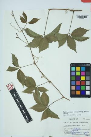 98027-Service File.jpg