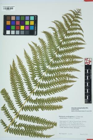 98091-Service File.jpg