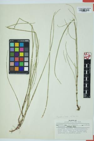98110-Service File.jpg
