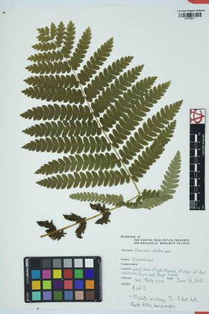 98120-Service File.jpg