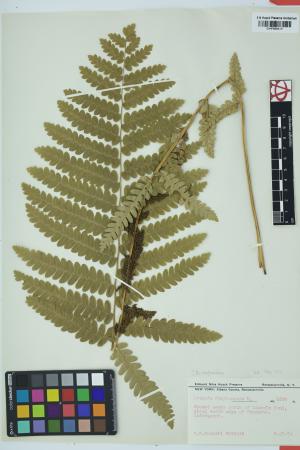 98122-Service File.jpg