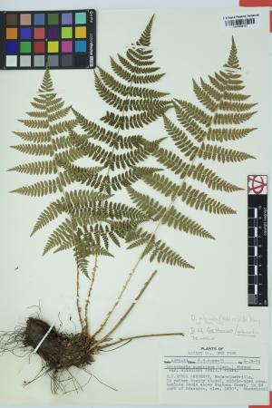 98133-Service File.jpg