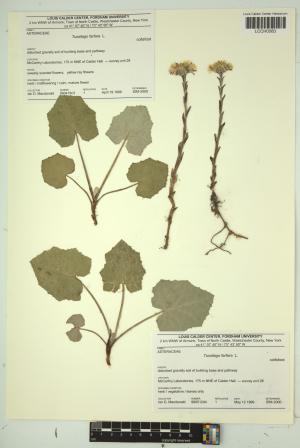 98178-Service File.jpg