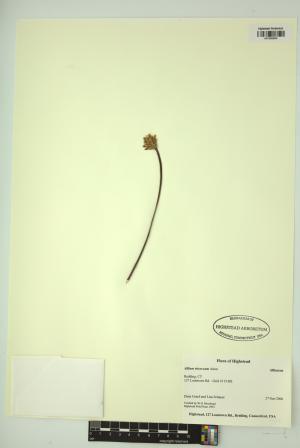 98197-Service File.jpg