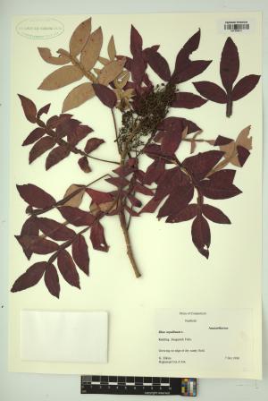 98200-Service File.jpg