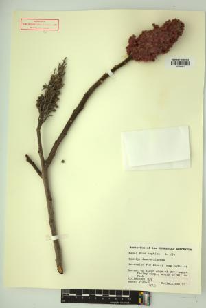 98206-Service File.jpg