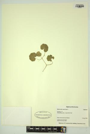 98215-Service File.jpg