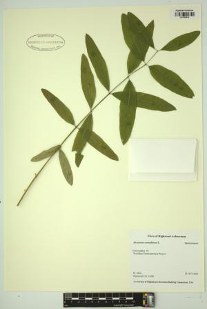 98222-Service File.jpg