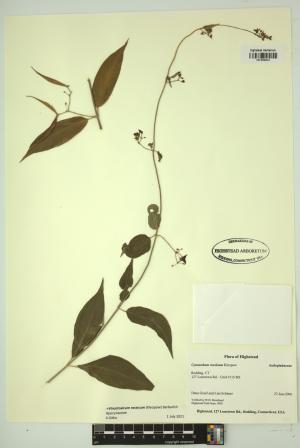 98228-Service File.jpg