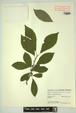 98236-Service File.jpg