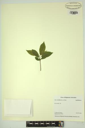 98241-Service File.jpg