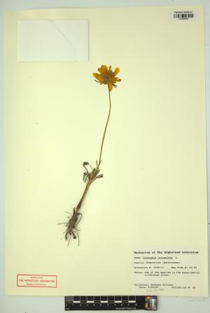 98263-Service File.jpg