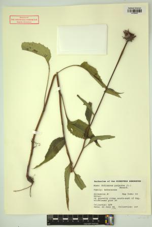 98268-Service File.jpg