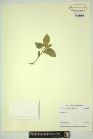 98270-Service File.jpg