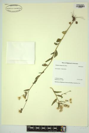 98274-Service File.jpg