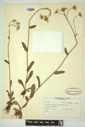 98275-Service File.jpg