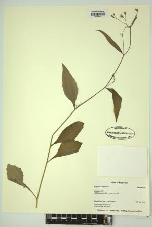 98288-Service File.jpg