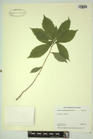 98299-Service File.jpg