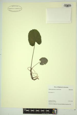 98302-Service File.jpg