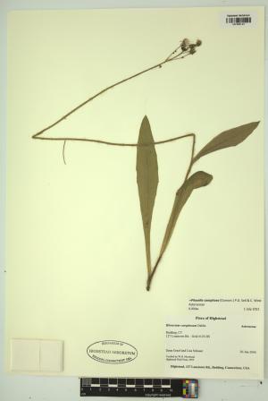 98306-Service File.jpg