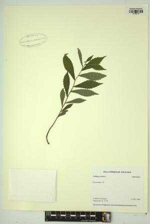 98317-Service File.jpg