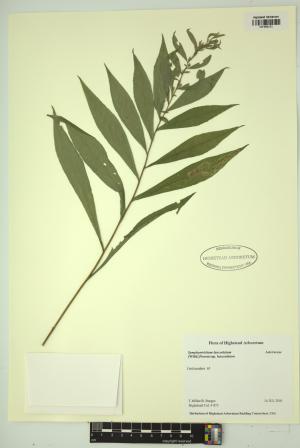 98333-Service File.jpg