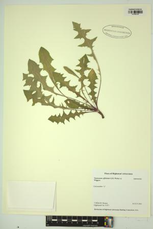 98342-Service File.jpg