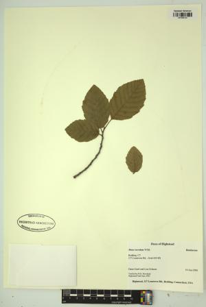 98361-Service File.jpg