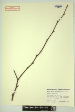 98363-Service File.jpg