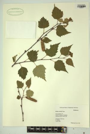 98366-Service File.jpg