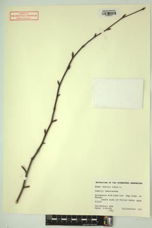 98369-Service File.jpg